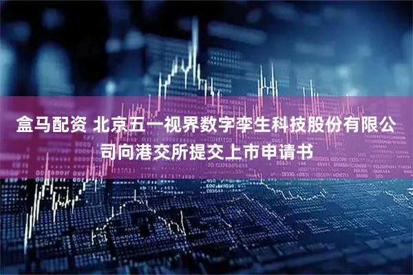 盒马配资 北京五一视界数字孪生科技股份有限公司向港交所提交上市申请书