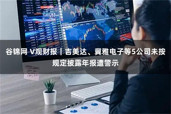 谷锦网 V观财报｜吉美达、冀雅电子等5公司未按规定披露年报遭警示