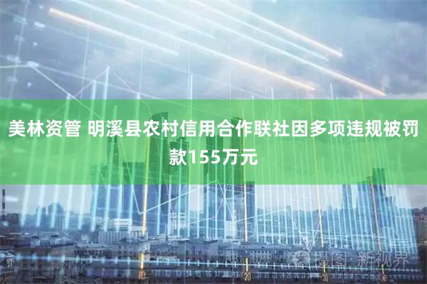 美林资管 明溪县农村信用合作联社因多项违规被罚款155万元