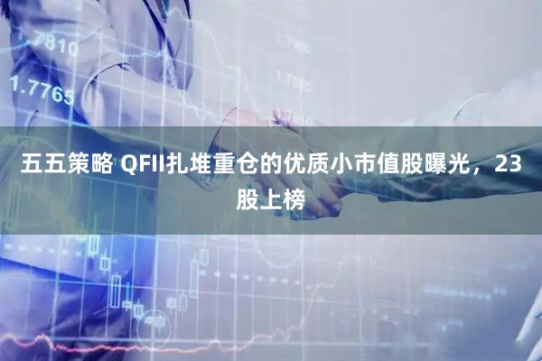 五五策略 QFII扎堆重仓的优质小市值股曝光，23股上榜